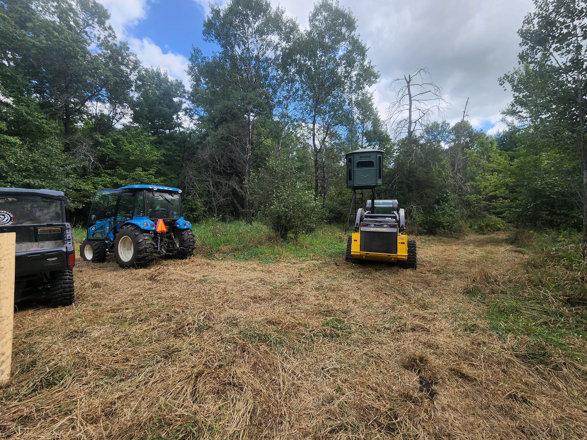 Timber clearing and tower install